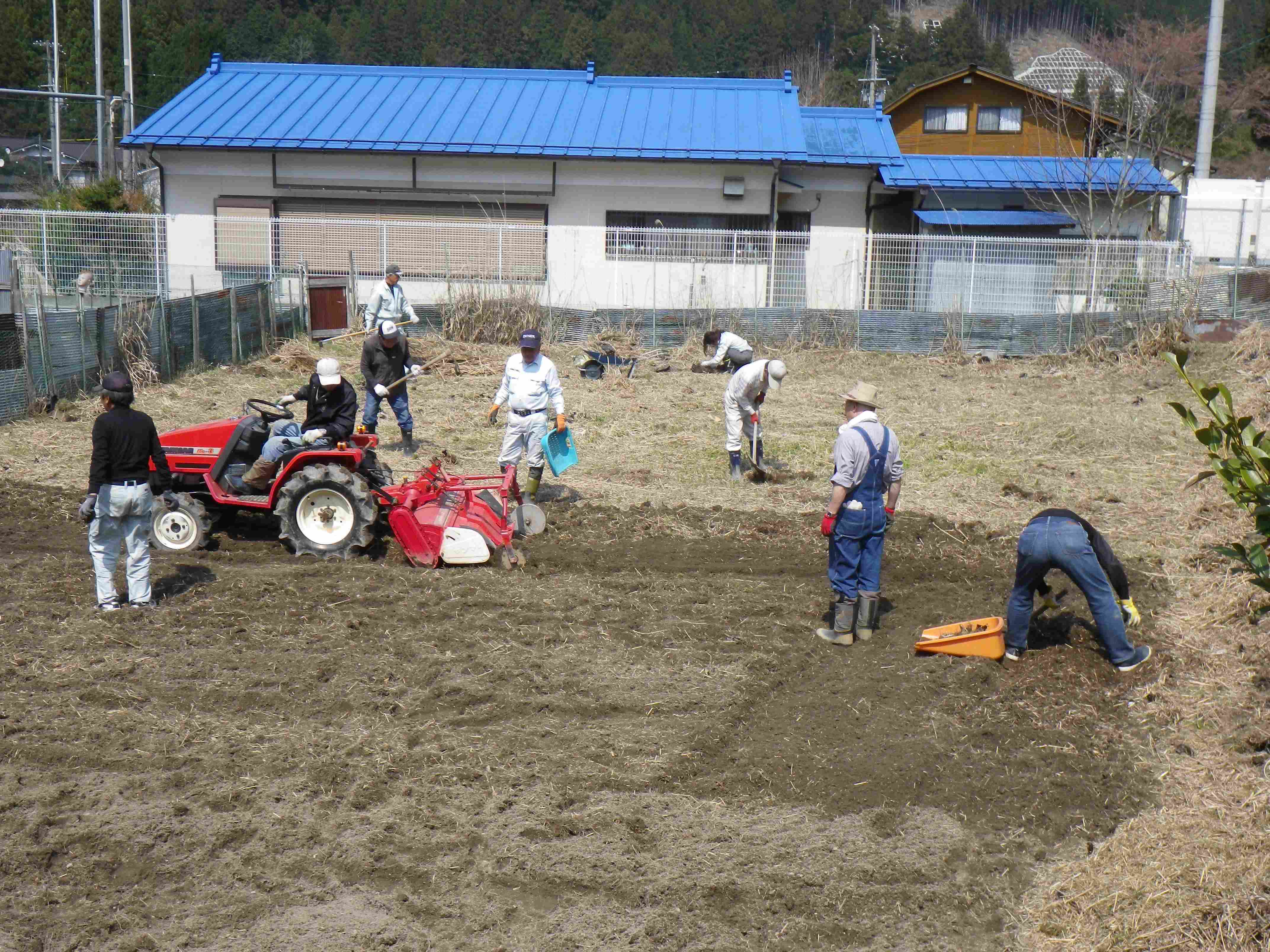 「どろがわいも」復活に向け汗を流す農業委員