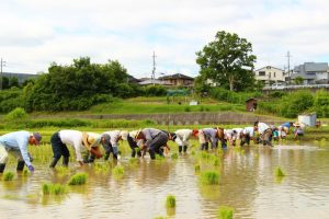 今年で実施６年目を迎えた「たんぼの楽耕」