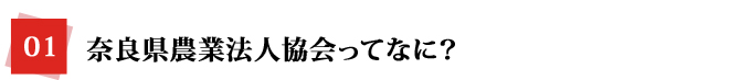 奈良県農業法人協会ってなに？