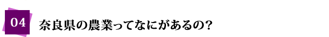 奈良県の農業ってなにがあるの？