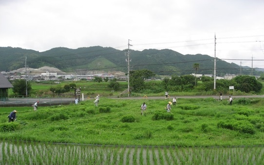 農業委員による活動部会の解消活動風景