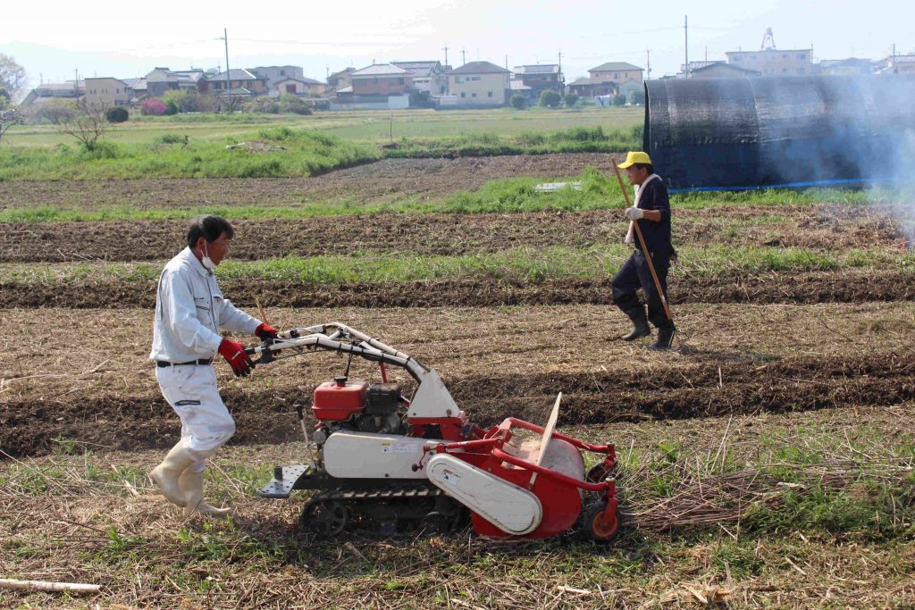 解消活動に取り組む農業委員ら